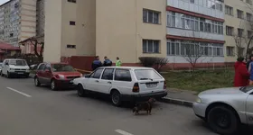 Galerie foto - poza 2