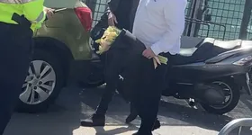 Galerie foto - poza 2