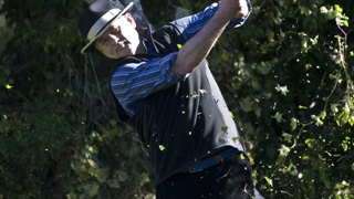 Starurile de la Hollywood au dat-o pe golf