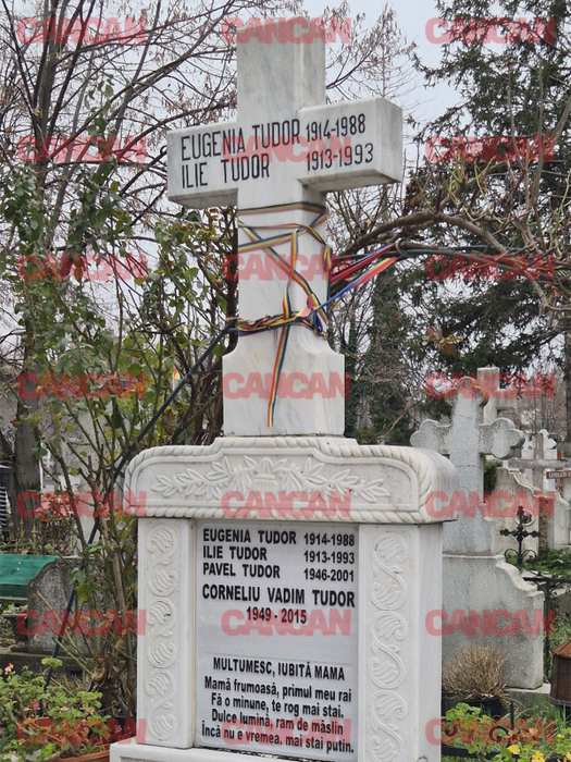 Cum arată mormântul lui Corneliu Vadim Tudor în decembrie 2025. Ce scrie pe monumentul funerar
