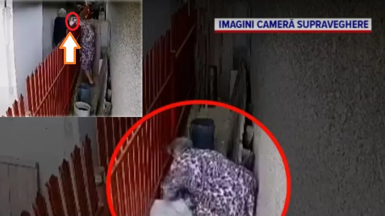 Cățel răpit în Galați! Două pensionare n-au mai suportat lătratul lui!