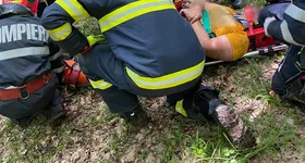 Galerie foto - poza 2