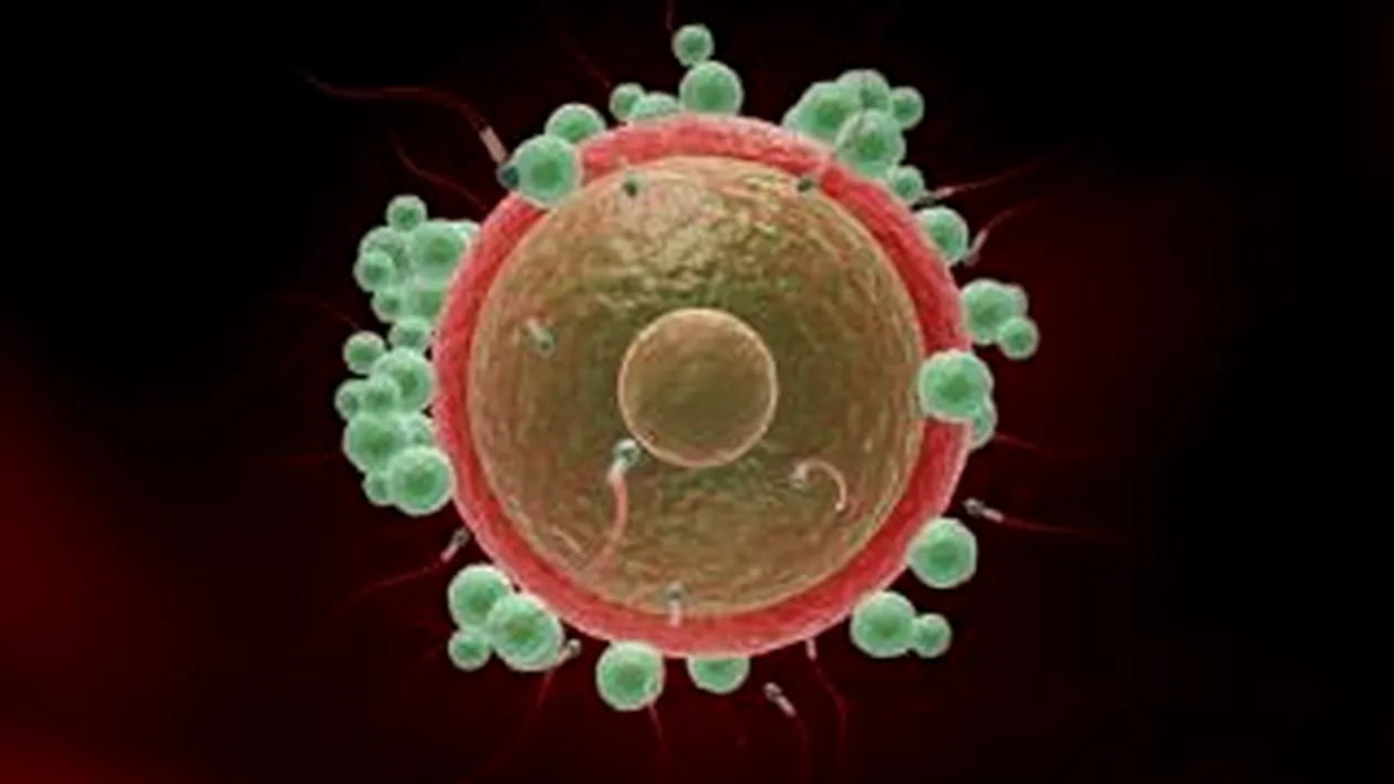 Prima celula vie cu genom sintetic, creata de cercetatorii americani