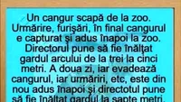 BANCUL ZILEI | Un cangur scapă de la zoo