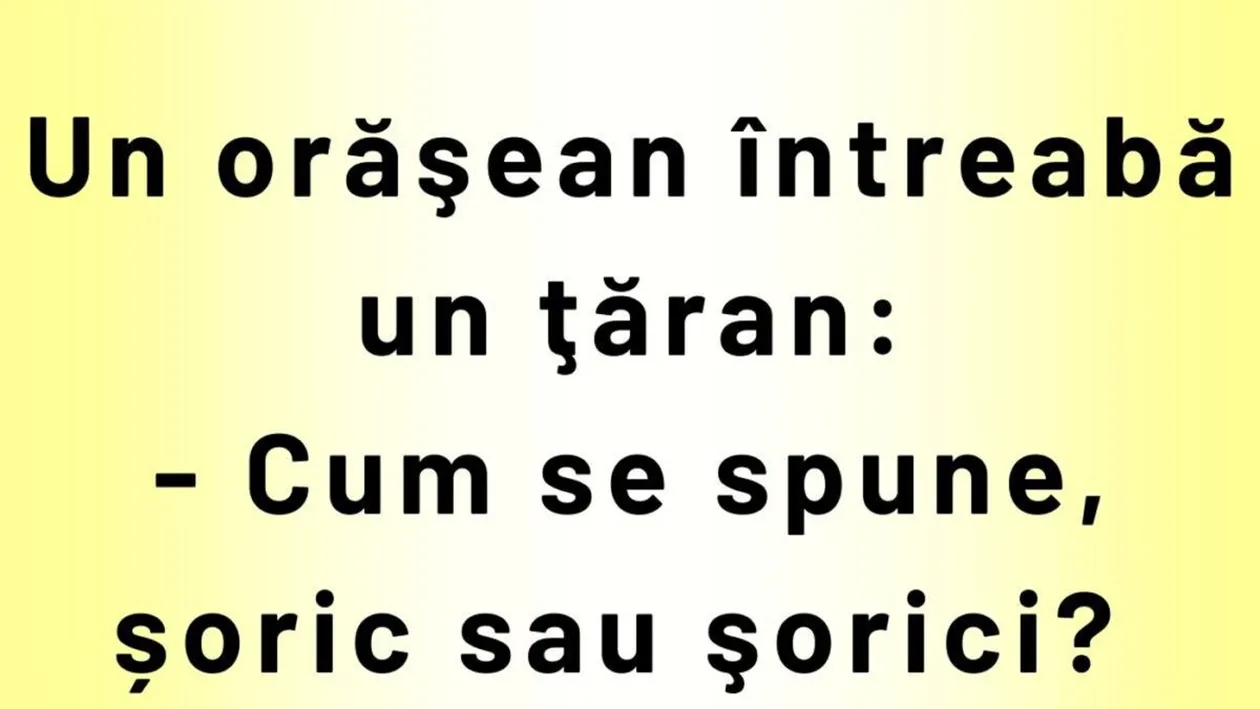 BANCUL ZILEI | Cum se spune: șoric sau șorici?
