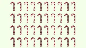 Test de perspicacitate | Care acadea de Crăciun este diferită de toate celelalte?