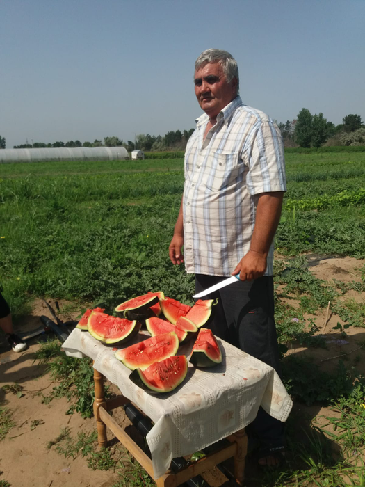 Producătorii din Dăbuleni își laudă marfa la fața locului