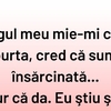Bancul sfârșitului de săptămână | Cine este tatăl?