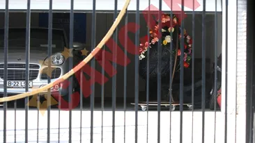 Minune!  In garajul Annei Lesko a crescut un copac!