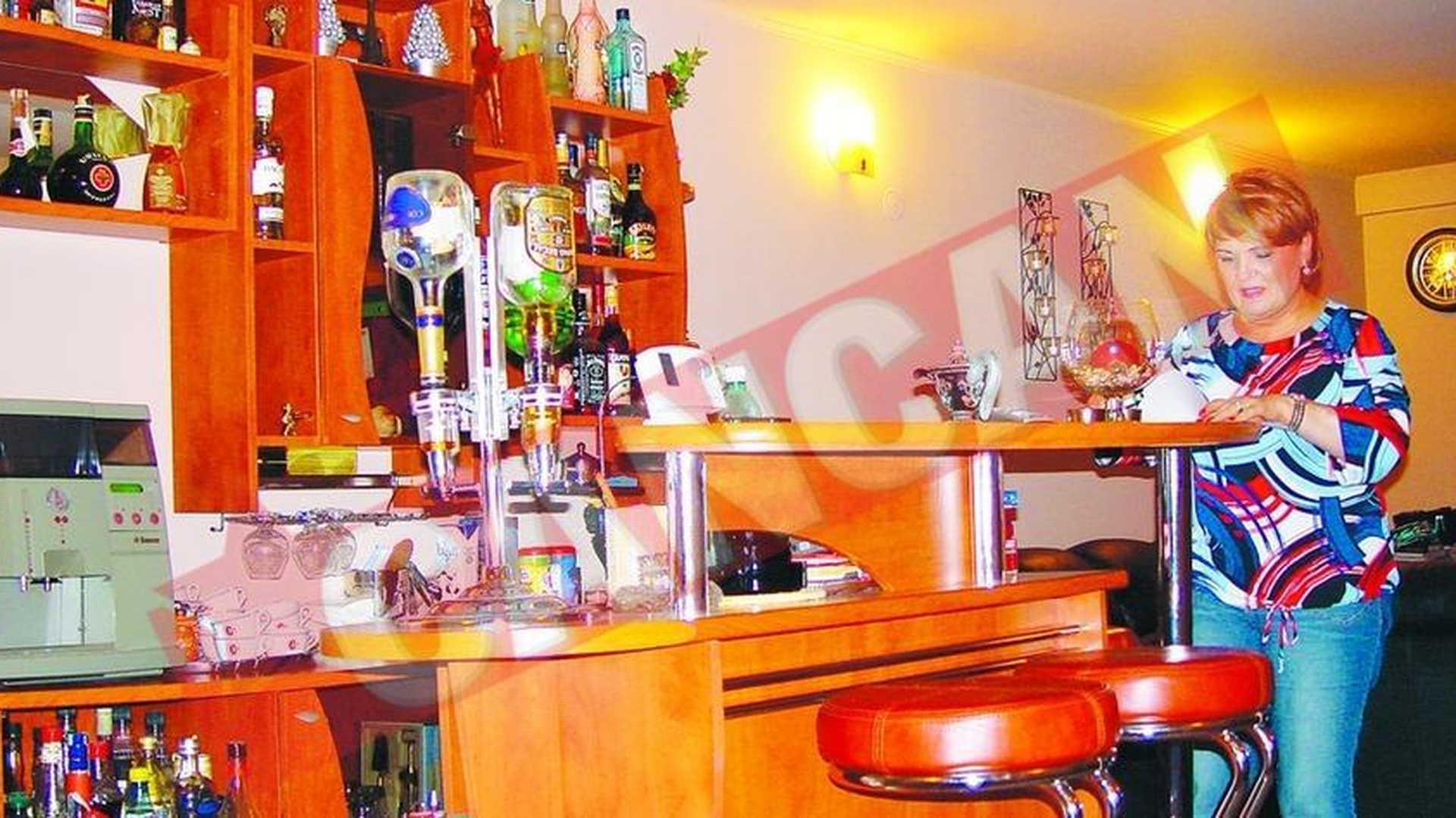 Aduna cani si alcool