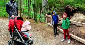 Galerie foto - poza 3