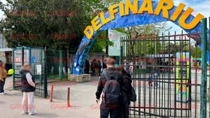 Cât costă un bilet la Delfinariu din Mamaia? Un adult trebuie să plătească aproape 75 de lei pentru a lua parte la o demonstrație