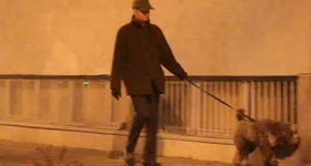 Galerie foto - poza 2