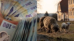 Cât va costa carnea de miel în 2026. Alimentul se scumpește înainte de Paște