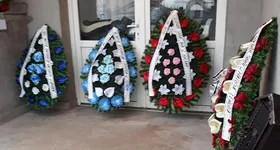 Galerie foto - poza 3