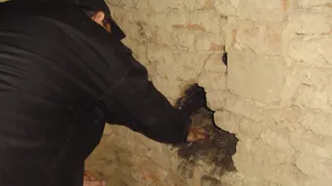 A găsit o adevărată comoară în peretele casei sale şi a vândut-o cu 175.000 de dolari! E ultimul lucru la care te gândeşti