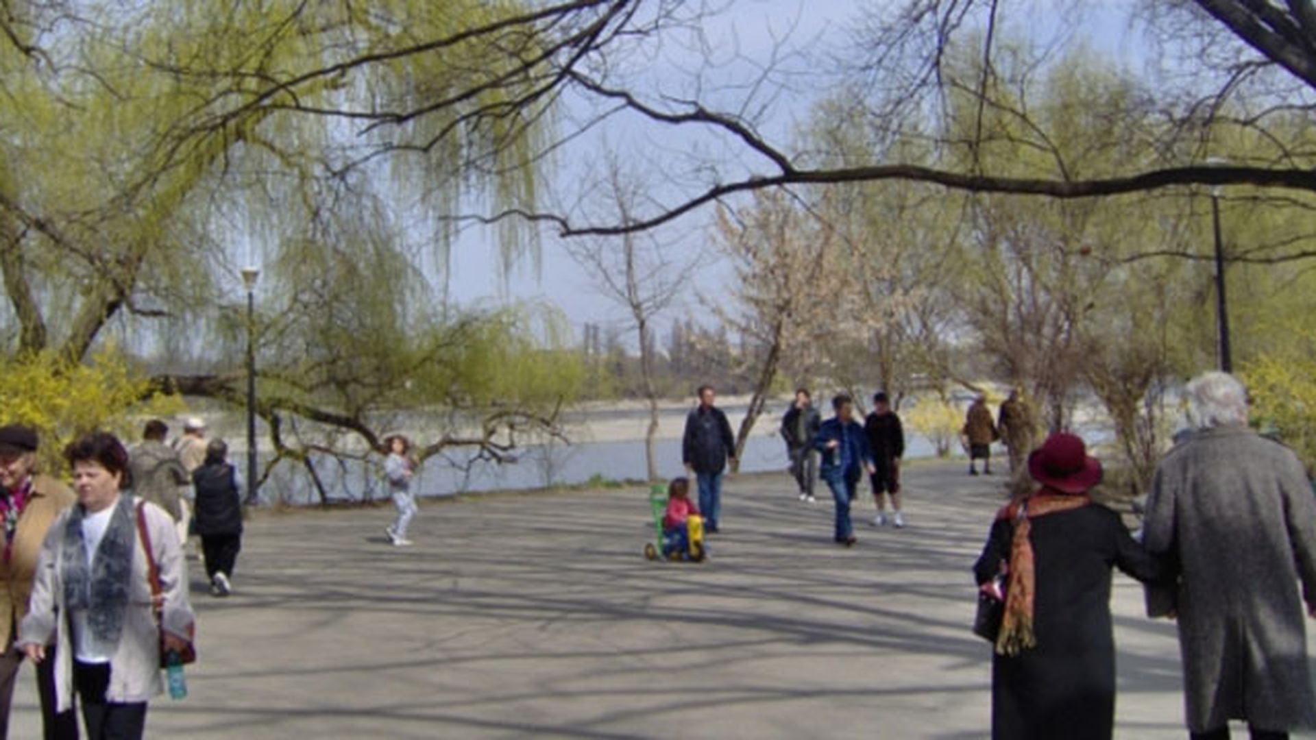 METEO 22 FEBRUARIE.Află cum va fi vremea luni înainte să ieşi din casă