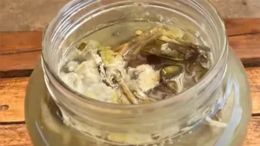 Câte luni rezistă murăturile în borcan, de fapt, până să facă floare