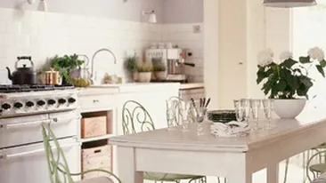 Dana Rogoz ia gatitul mult mai in serios si pentru asta isi tuneaza bucataria! Vezi cum vrea sa redecoreze