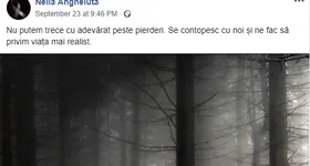 Galerie foto - poza 2