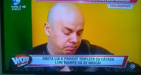 Galerie foto - poza 3