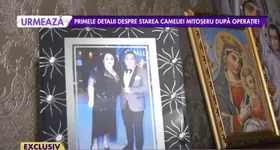 Galerie foto - poza 4