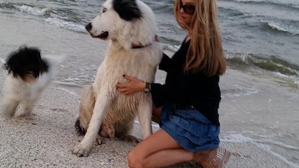 Acuzata ca si-a aandonat cainele, Tabi Budi rasufla usurata! Patrupedul s-a intors acasa intr-o zi cu o semnificatie aparte