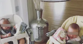 Galerie foto - poza 4