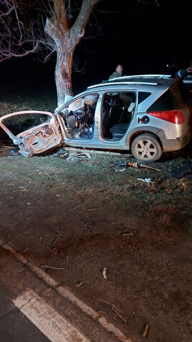 Accident cumplit pe DN41! Un tânăr de doar 27 de ani și-a pierdut viața, după ce a intrat cu mașina în copac