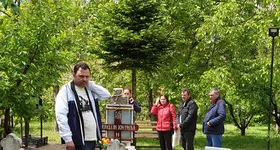 Galerie foto - poza 2