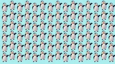 Test de logică | Găsiți singurul pinguin care nu seamănă cu ceilalți!