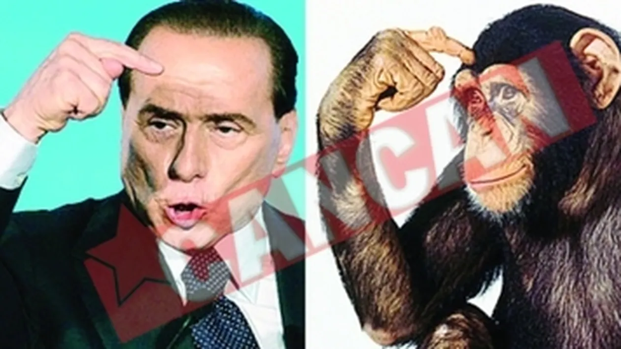 Oamenii gesticuleaza asemenea cimpanzeilor