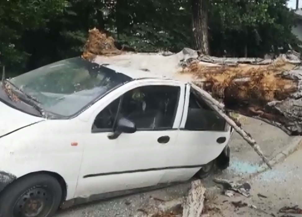 Trei dintr-o lovitură! Un copac imens s-a prăbuşit în această dimineaţă într-o parcare din Argeş peste trei maşini staţionate în zonă. VIDEO