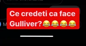 Galerie foto - poza 2