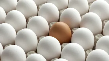 Dacă ouăle de găină sunt ștanțate cu cifra 3, nu le cumpăra! Anunțul APC