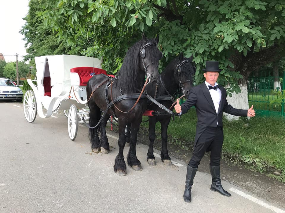 Barnabas are și o caleașcă pentru ceremonii