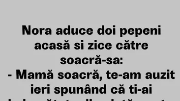 BANCUL ZILEI | Nora, soacra și pepenii