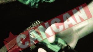 Grenade Si pistoale, In casele a doi frati agresivi