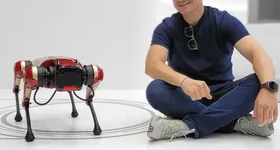 Galerie foto - poza 3