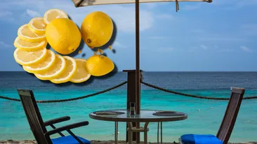 Suma ireală plătită de un turist pentru o felie de lămâie, într-un restaurant din Costinești: „Se întreabă lumea de ce pleacă în alte țări în sezonul estival”