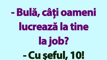 BANC | „Bulă, câți oameni lucrează la tine la job?”
