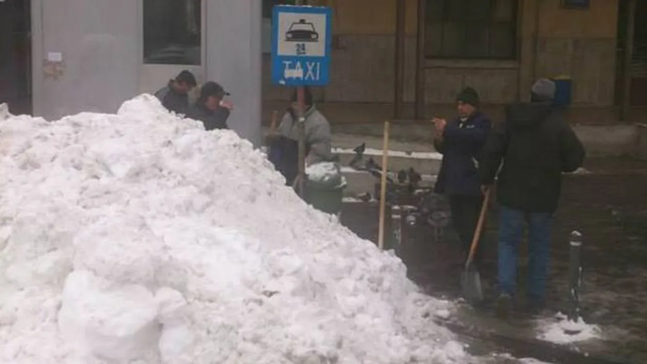 Situatie inedita la adaposturile Primariei Capitalei! A confundat centrul cu un hotel!