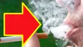 Dovedit științific! Cei care fumează au creierul mai mic