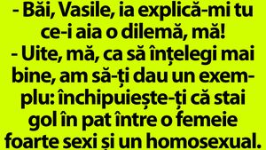 BANCUL ZILEI | "Băi, Vasile, ce este aia o dilemă?"