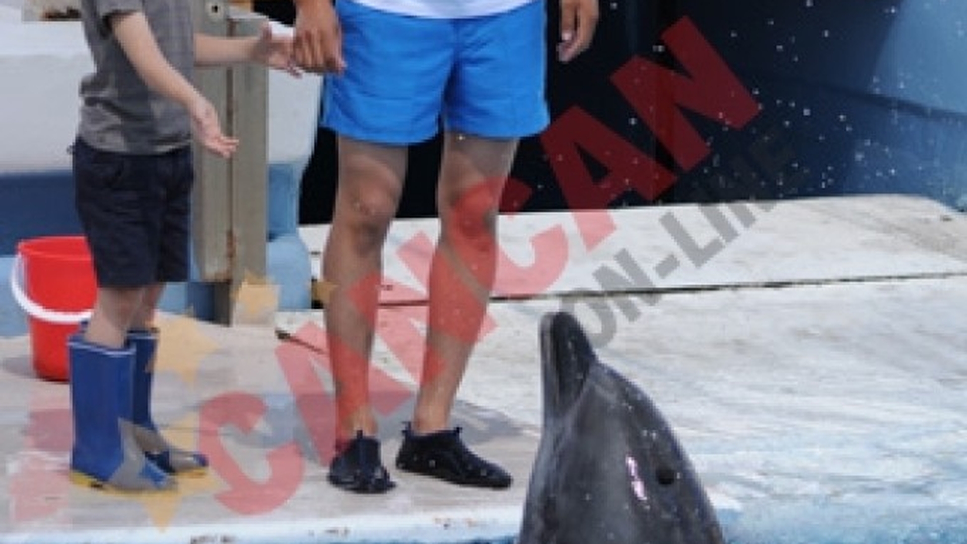 Nimeni nu se astepta la asta! Vedeta Delfinariului din Constanta a murit!