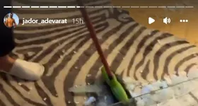 Galerie foto - poza 4