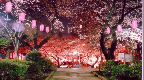 Nebunie la Tokyo - au înflorit cireşii! Uite cât de frumos poate să fie pe străzi!