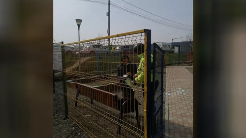 O femeie a fost sancționată pentru că stătea pe o bancă într-un parc pentru copii. Ce spun oamenii legii