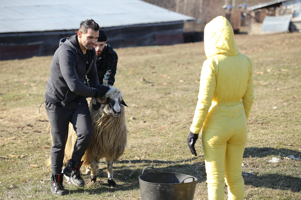 Câți centimetri are bărbăția lui Florin Pastramă! Logodnicul lui Brigitte a spus cât este de dotat