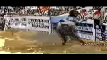 VIDEO Un cowboy plin de tupeu este facut pasta de mici de taurul de sute de kilograme! Uite cum moare in timp ce animalul il distruge cu copitele